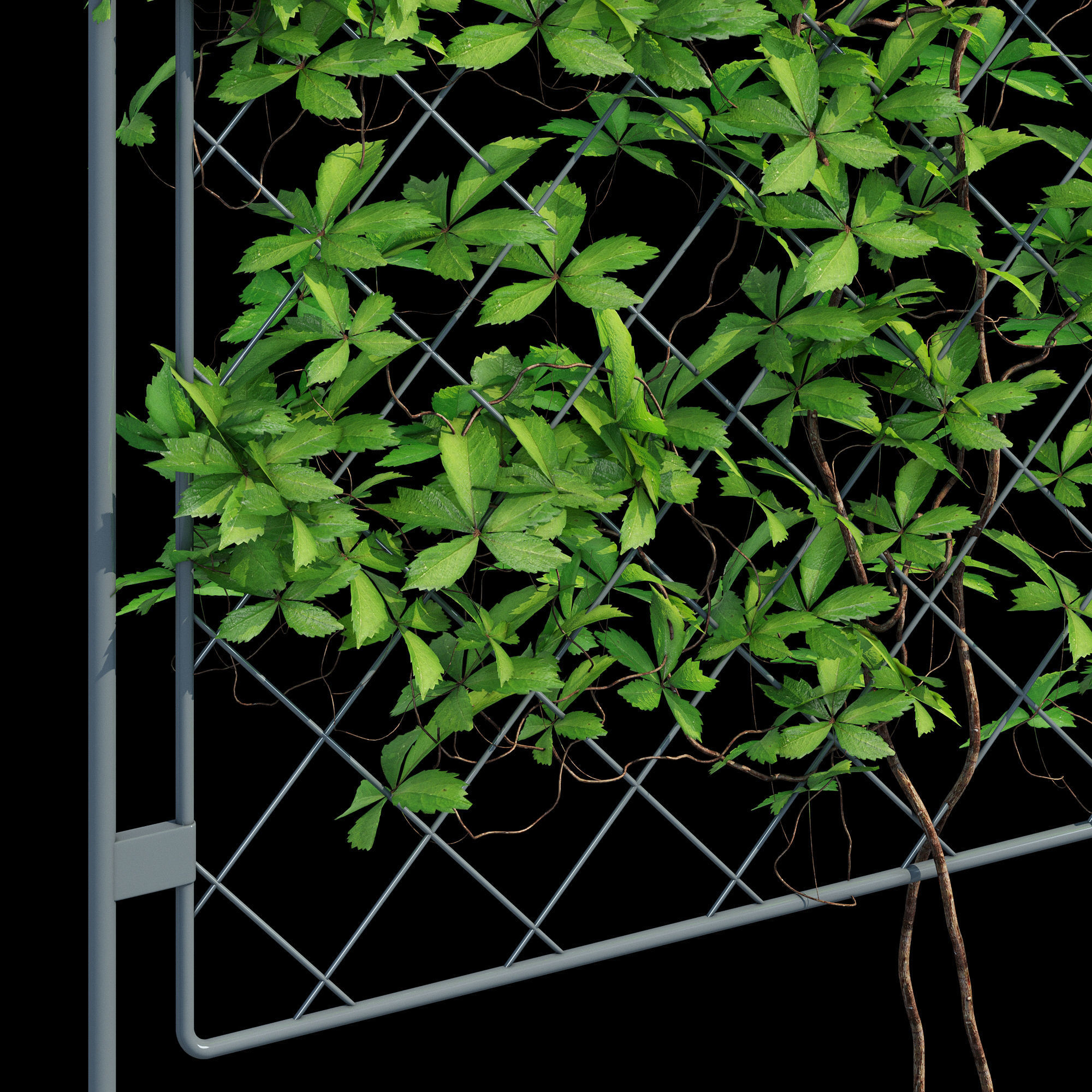 Harrod one 3D model_14