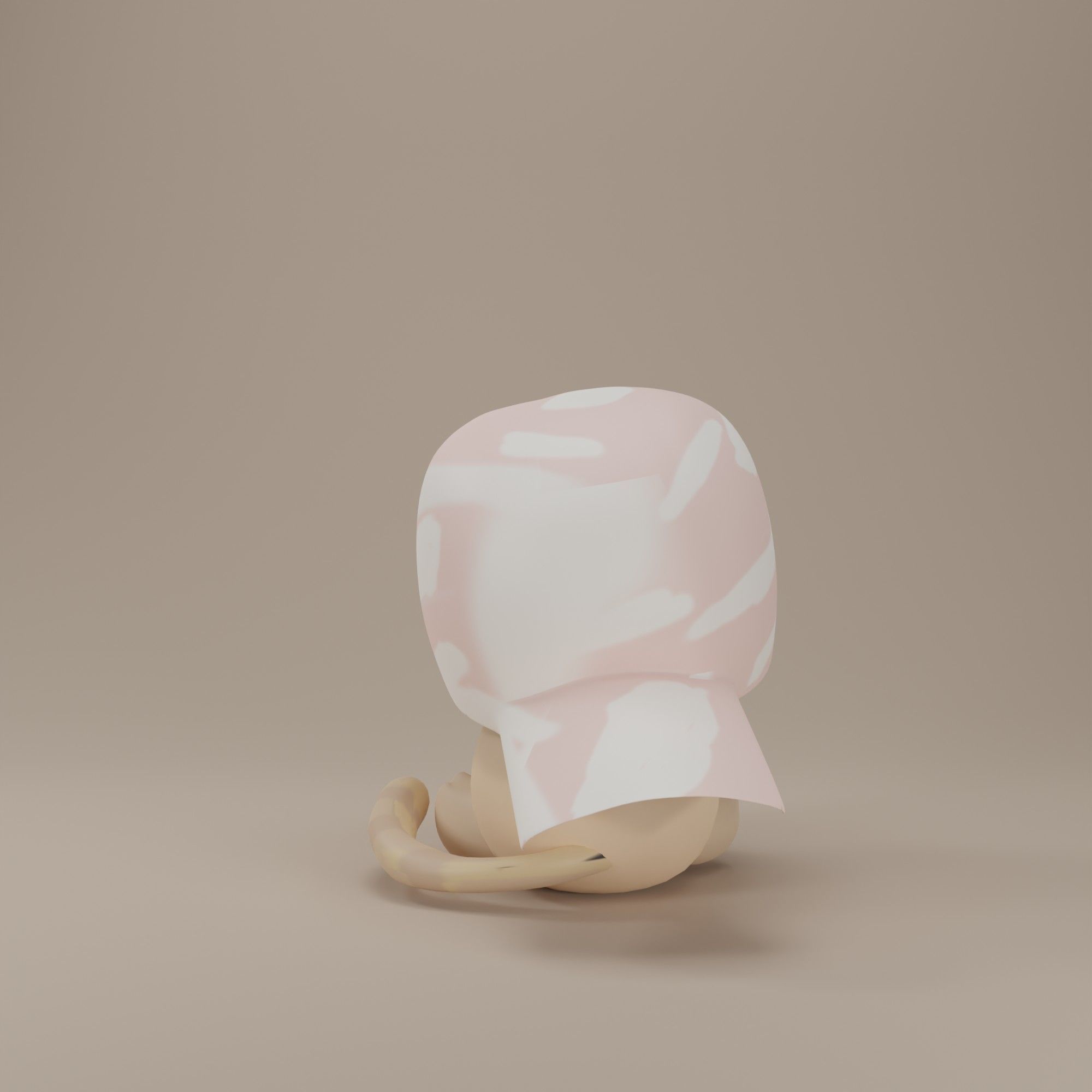 Cute Cat  wear cap 3d model Low-poly 3D model_2