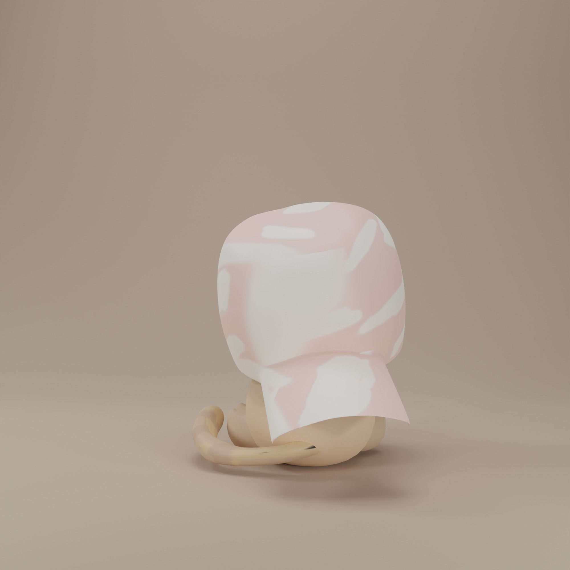 Cute Cat  wear cap 3d model Low-poly 3D model_3