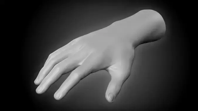 Realistic Man Hand