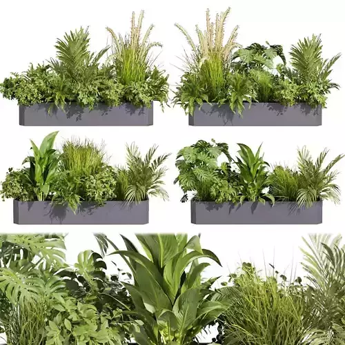 Collection plant vol 430 - ampelous - palm - grass - boxplant