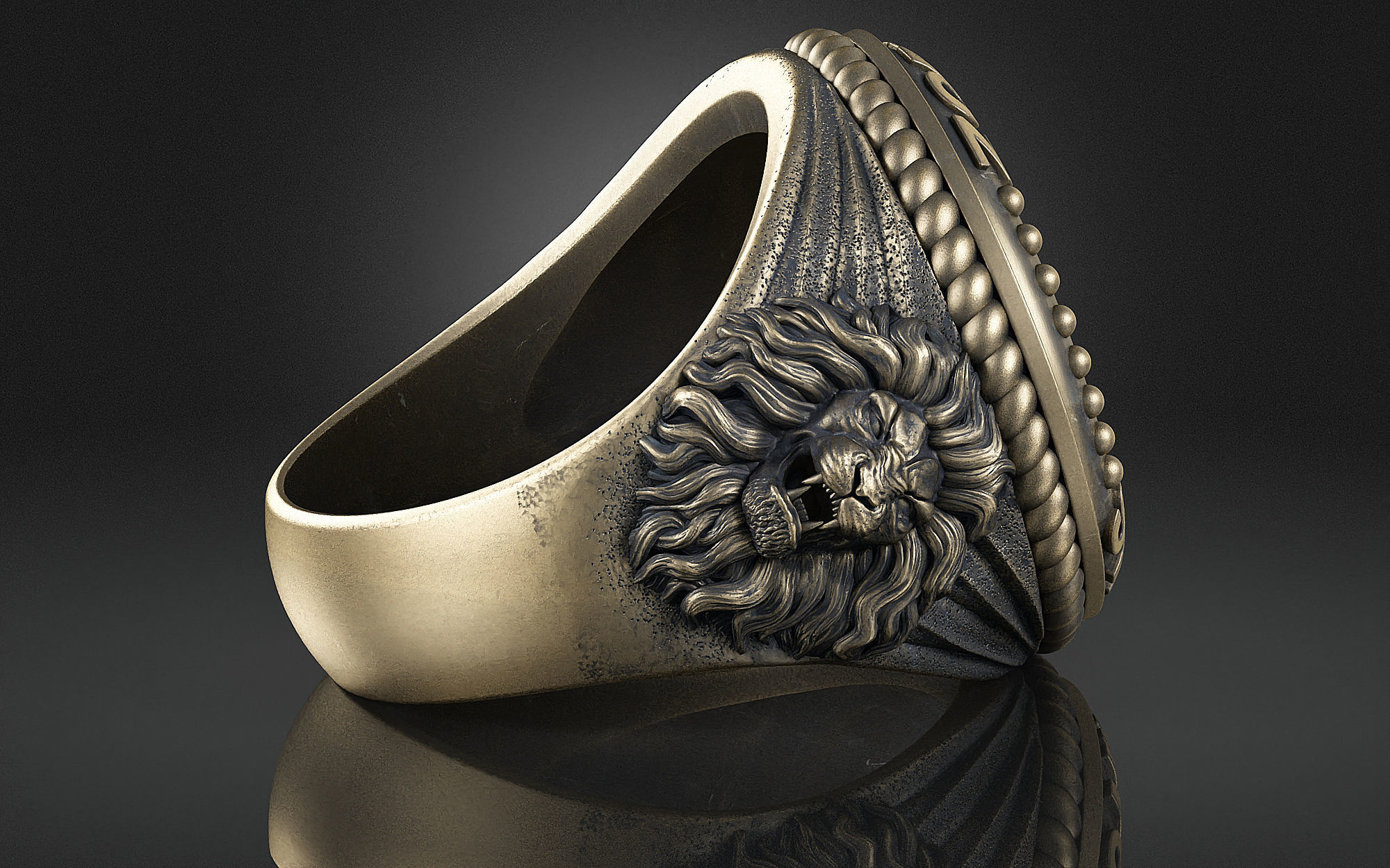 Zodiac Ring Aquarius a01 3D print model_5