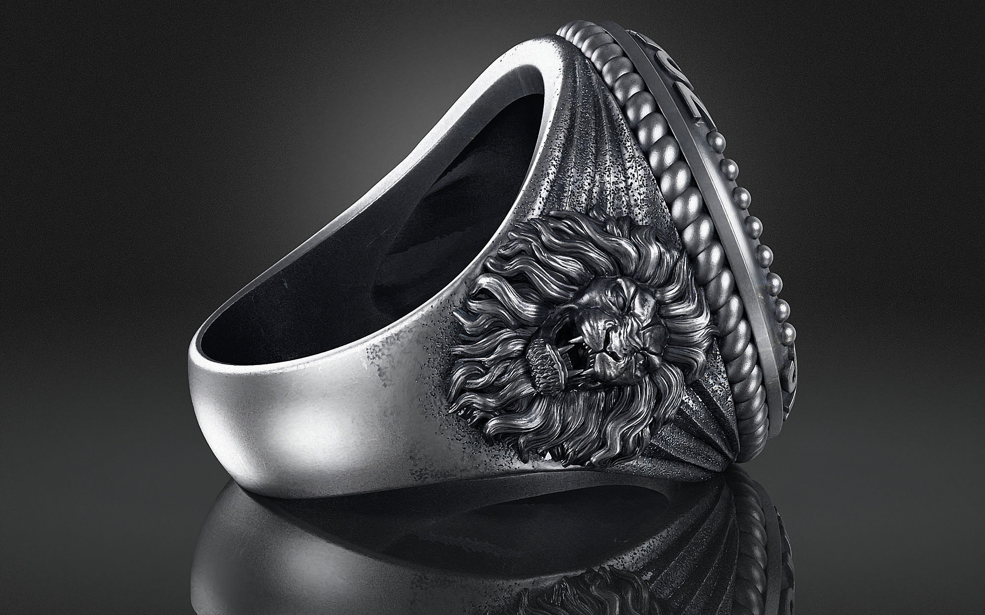 Zodiac Ring Aquarius a01 3D print model_4