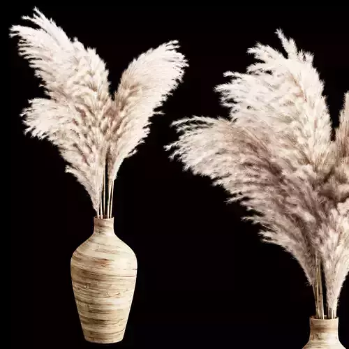 Pampas 1 vase with two dried grasses in it