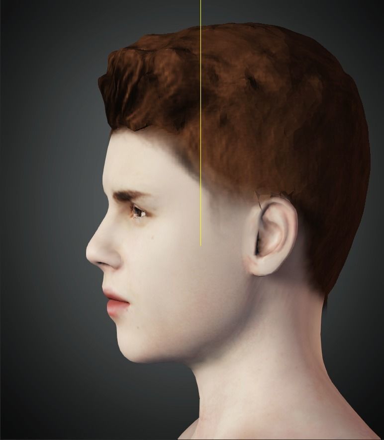 Highly Detailed 3D Model of Justin Bieber 3D model_4