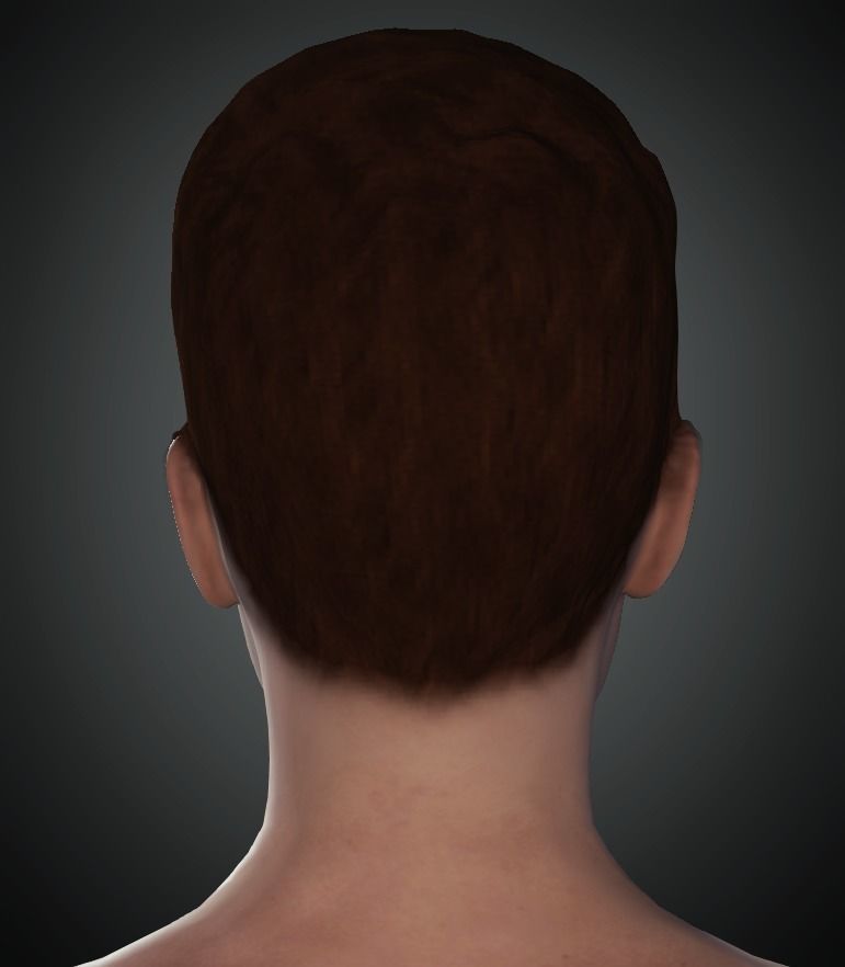 Highly Detailed 3D Model of Justin Bieber 3D model_5