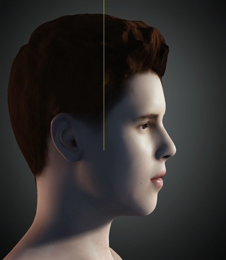 Highly Detailed 3D Model of Justin Bieber 3D model_3