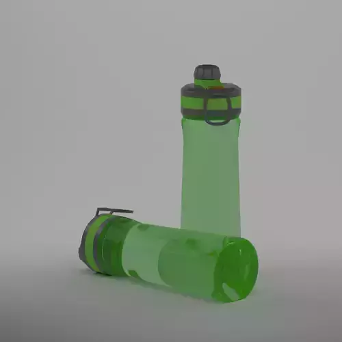 Water Bottle 3D model