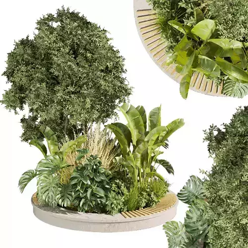 Collection plant vol 434 - outdoor - garden - leaf 