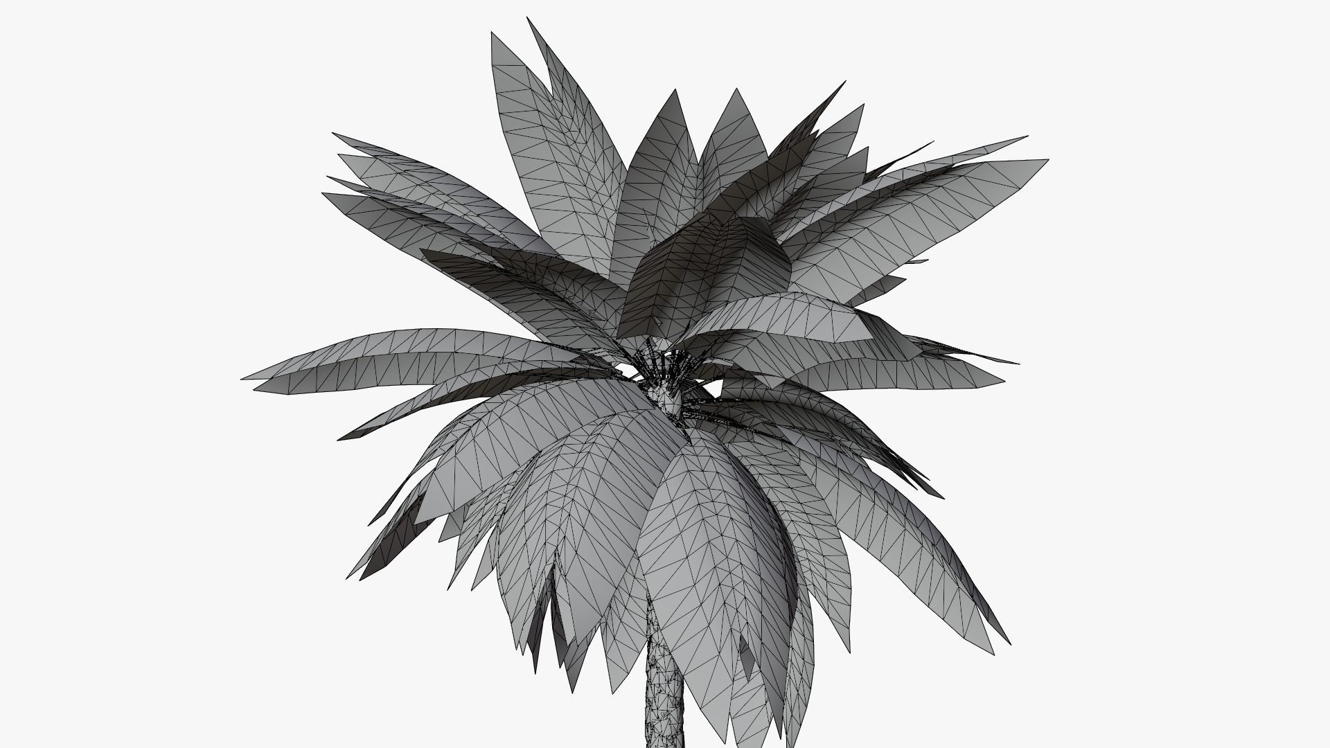 Date Palm v1 Low-poly 3D model_9