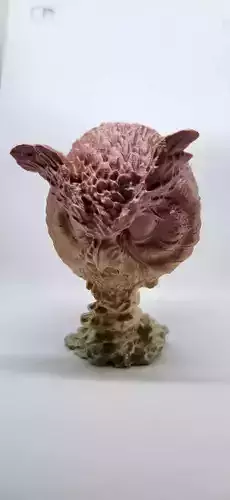 OWL HEAD