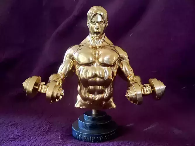 No Pain No Gain 3D model