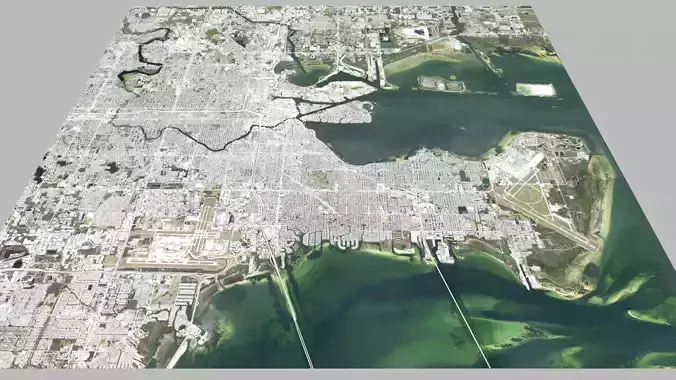 Cityscape Tampa Florida USA