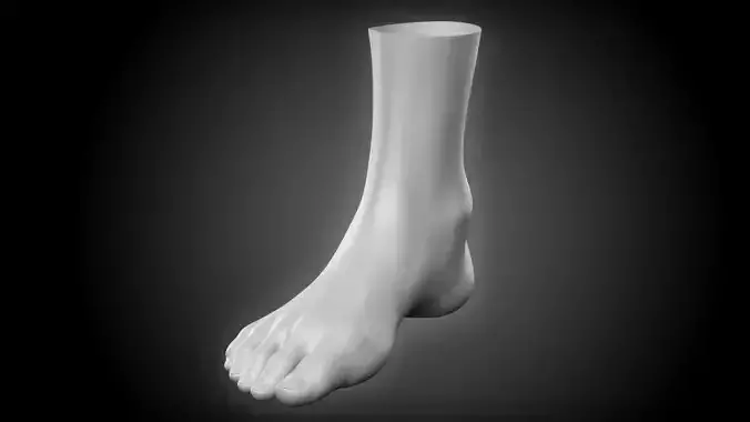 Realistic Human Foot 3D model