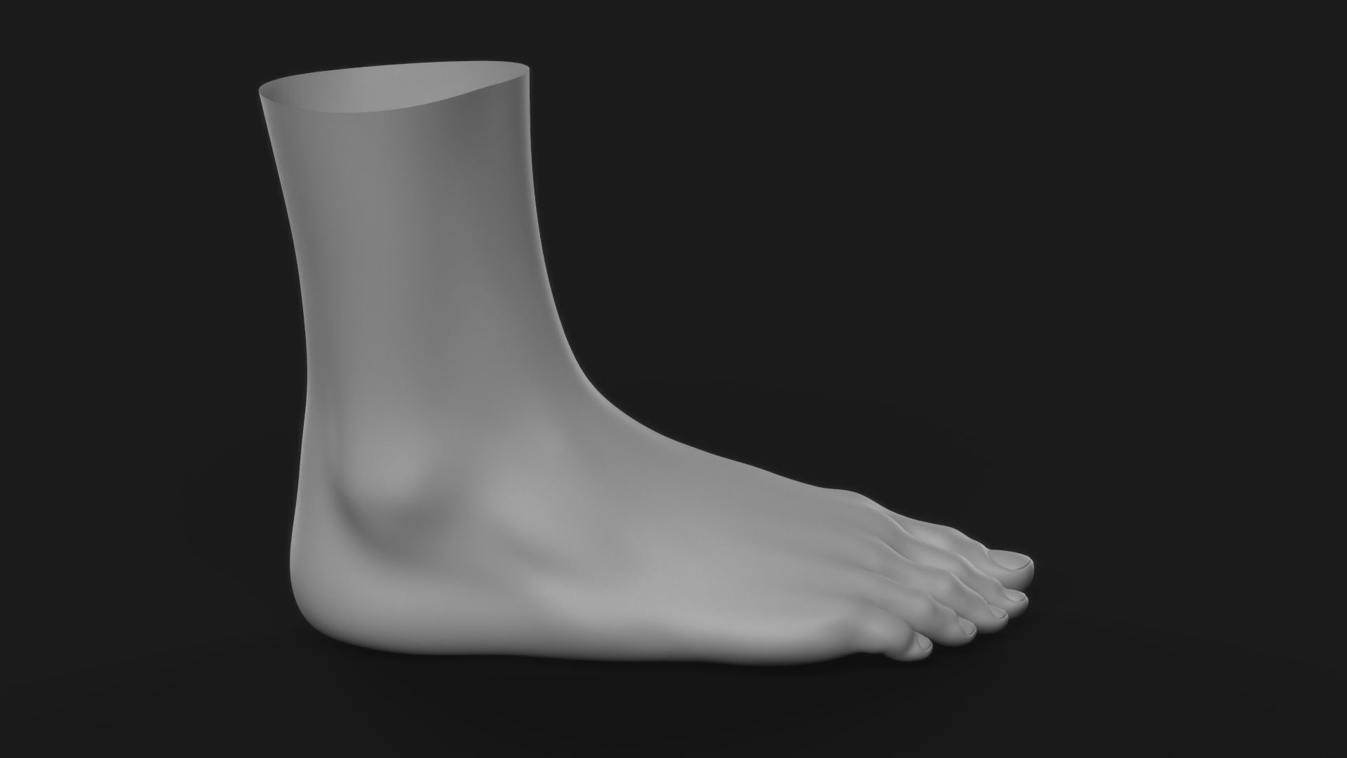 Realistic Human Foot 3D model_6