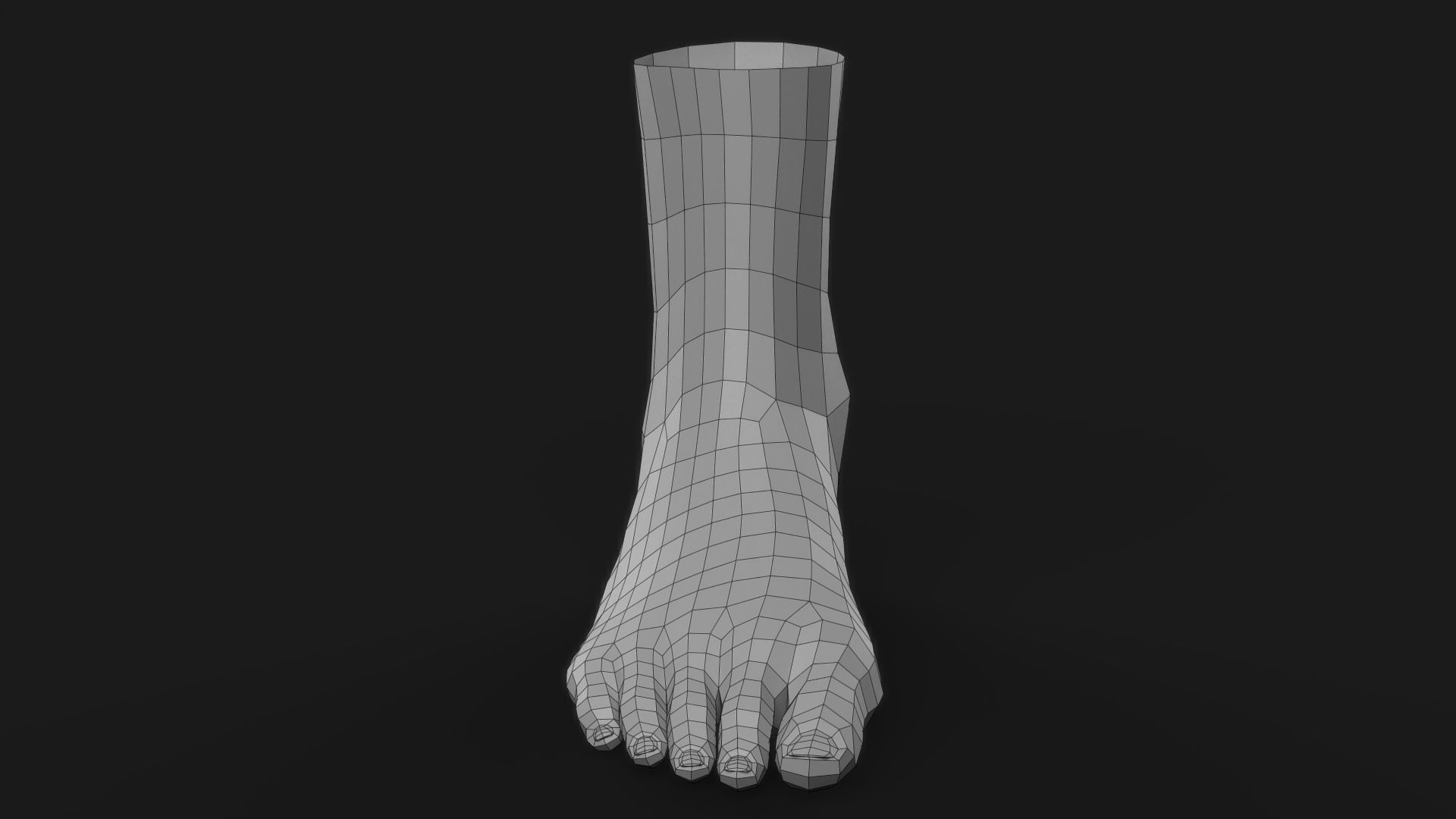 Realistic Human Foot 3D model_13