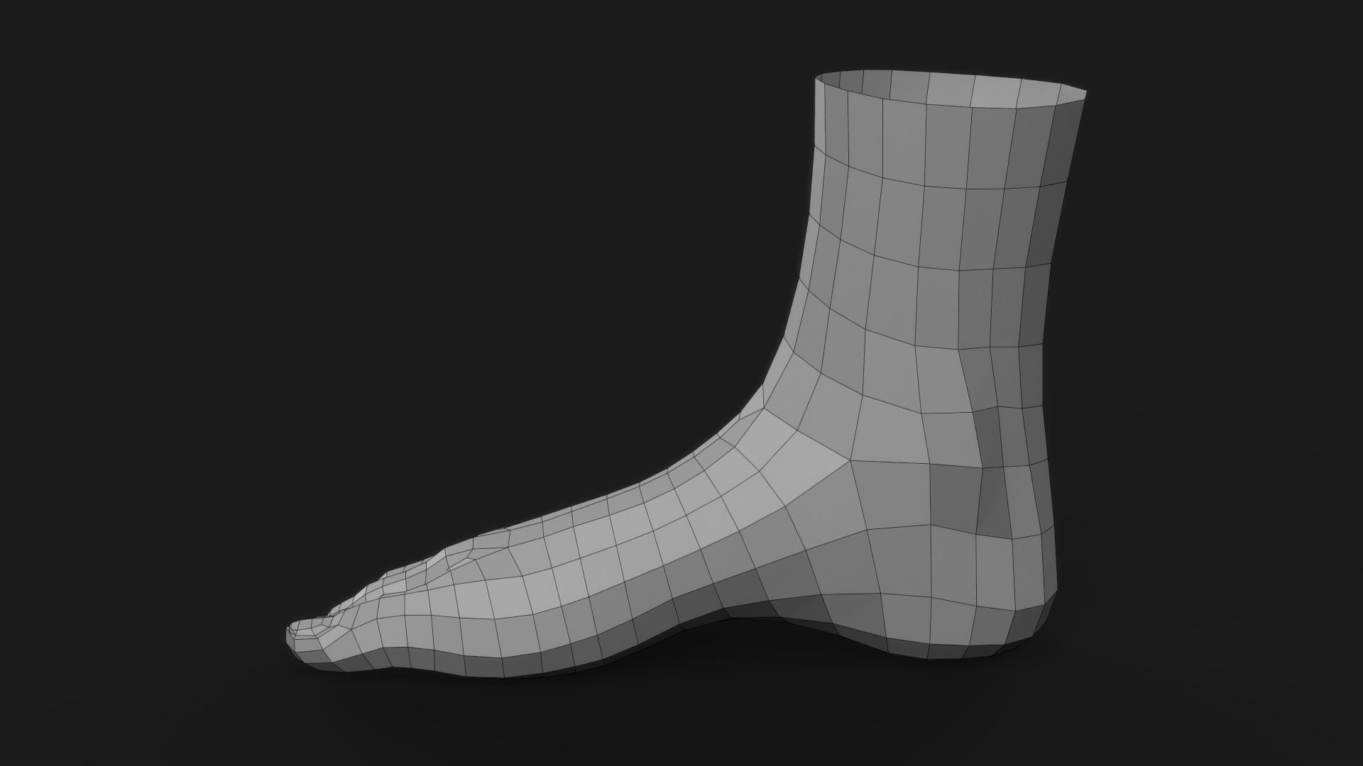 Realistic Human Foot 3D model_11