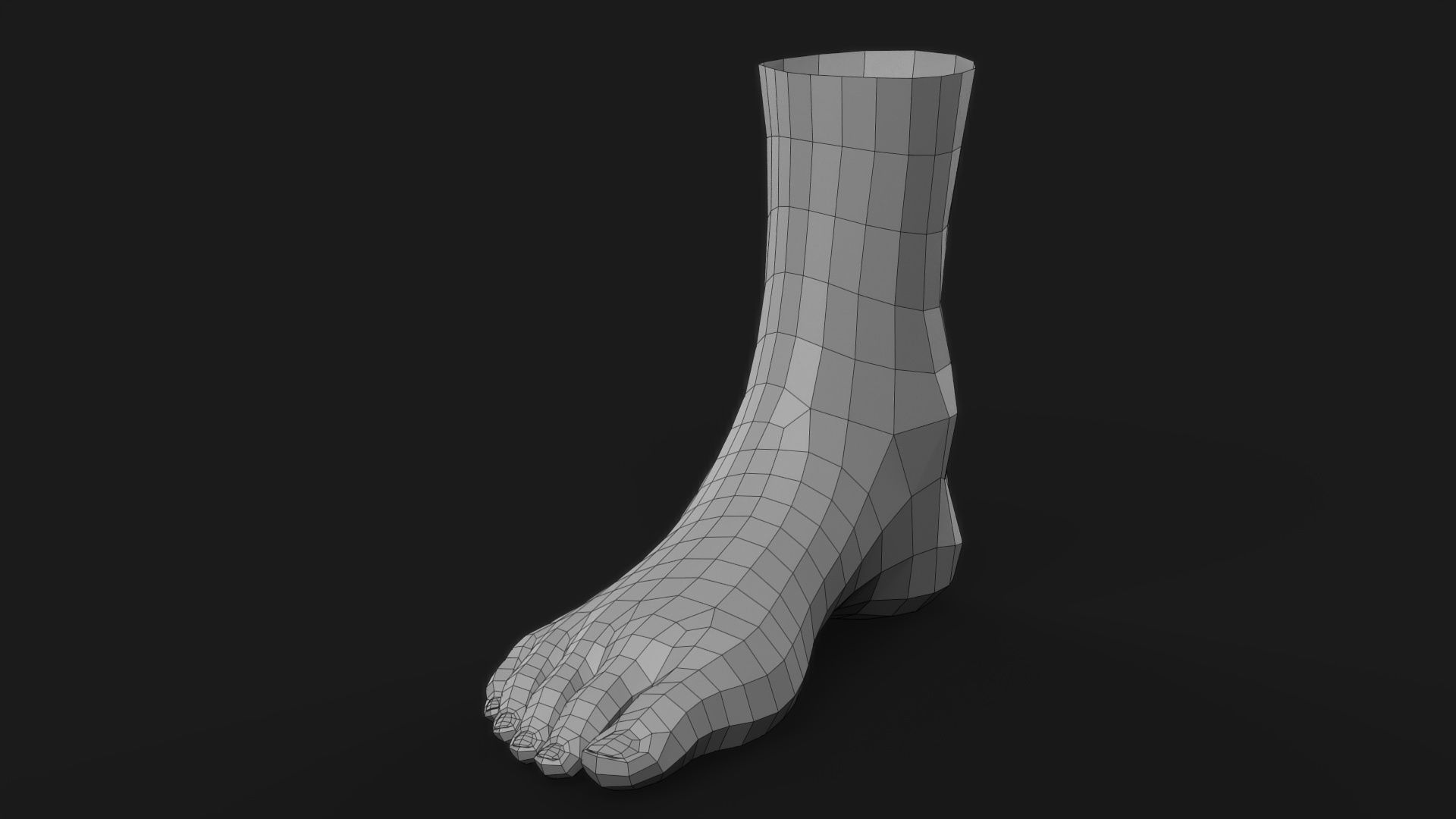 Realistic Human Foot 3D model_12