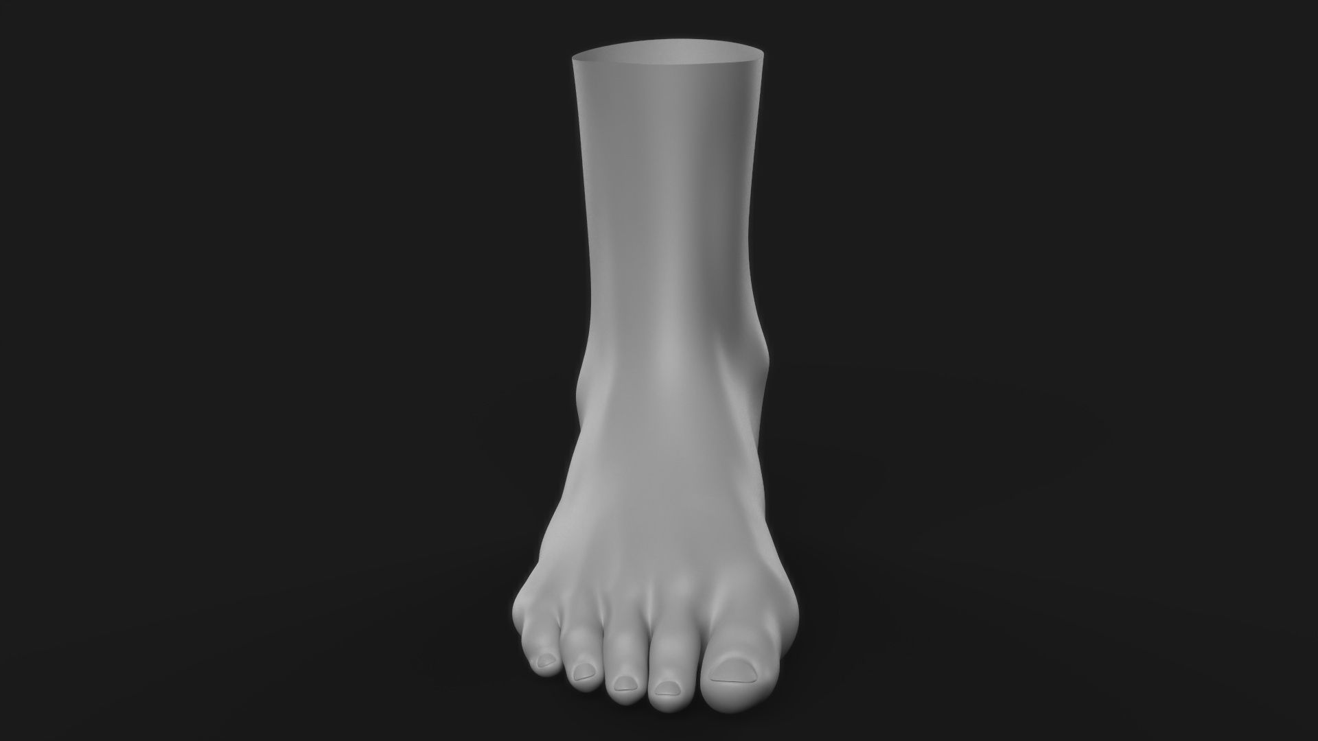 Realistic Human Foot 3D model_4