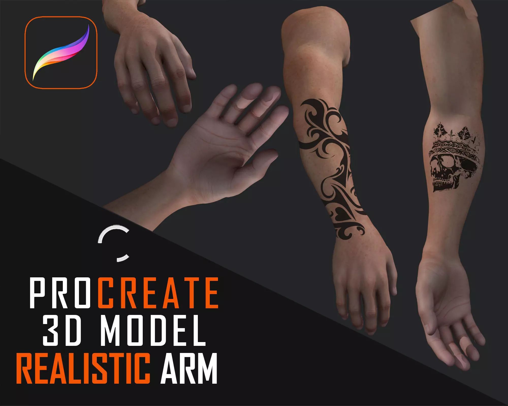Procreate 3D Model Realistic Arm Male 3D model