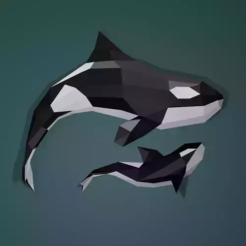 Orca Whale Low Poly Model 