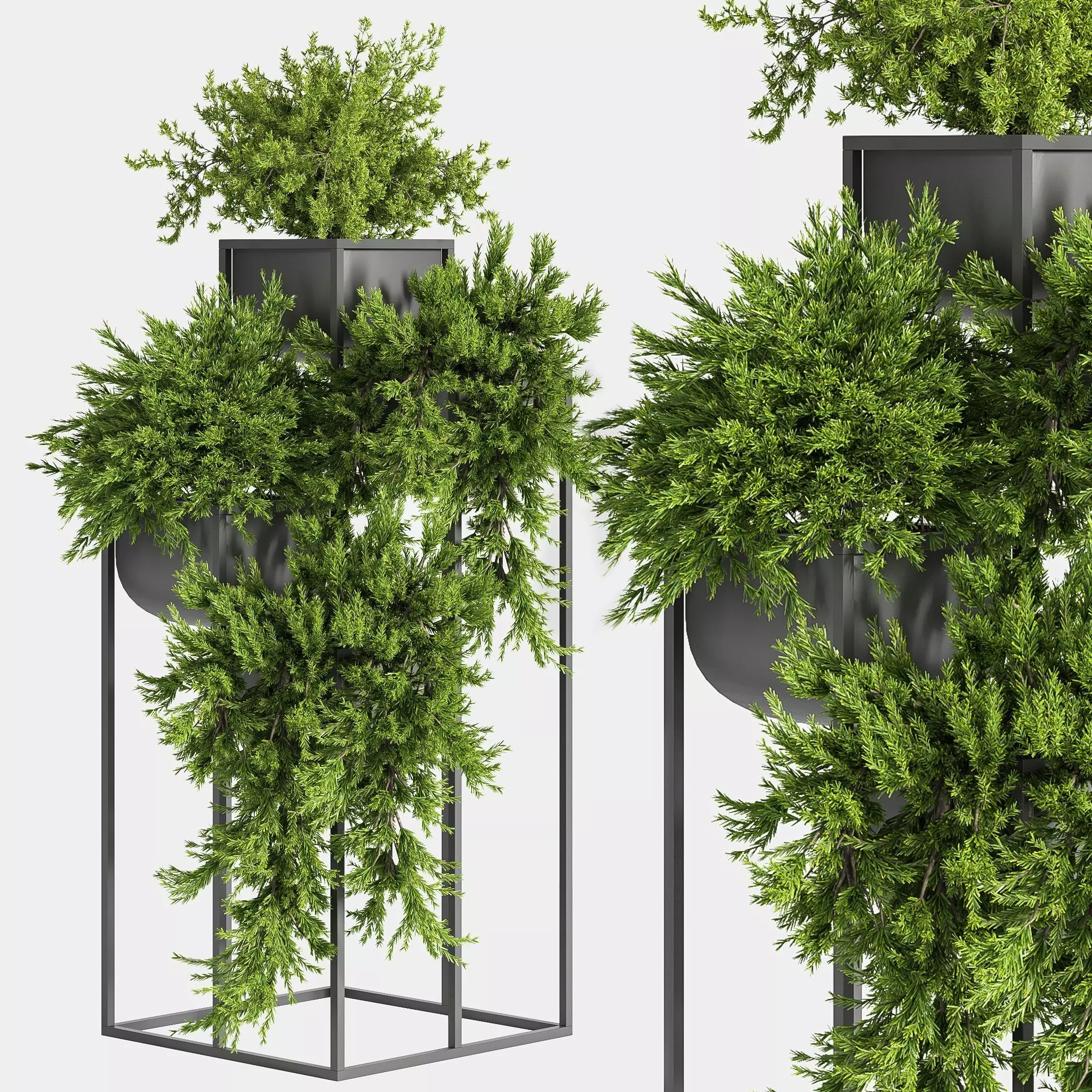 Indoor Plant Set 23 Low-poly 3D model