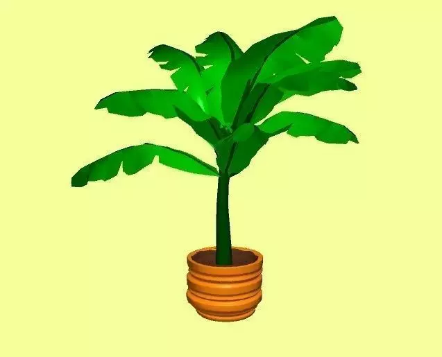 Pot Plant 3D model