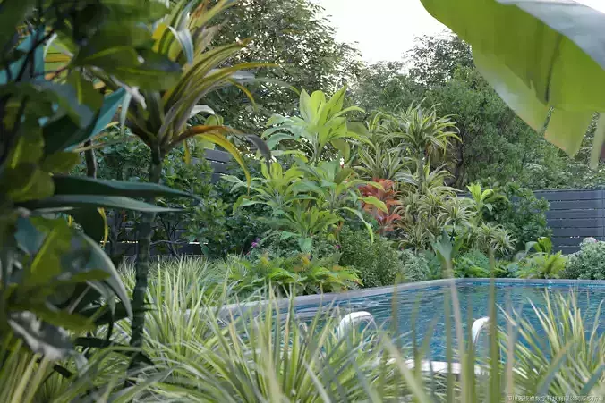 Maxtree Plant Models Vol 10 - Mesh