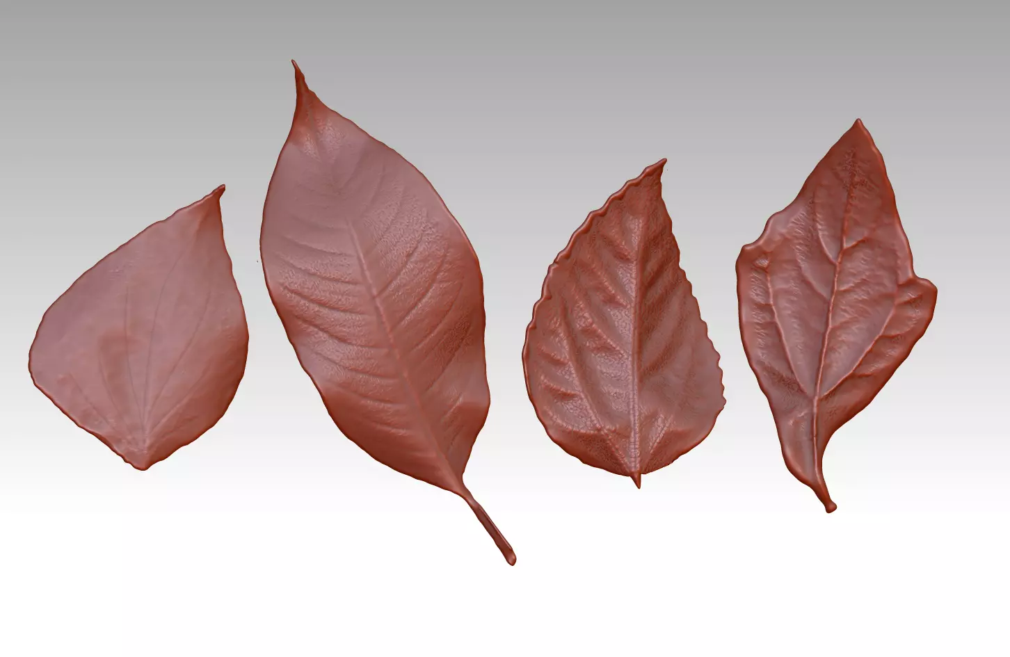 3D printing leaves Withered leaves Autumn leaves Leaf sculpture 3D print model