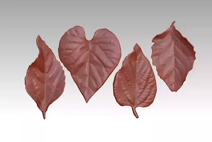 realistic ZB leaf brushes 3D printing leaf STL ZB Leaf Brush  3D print model