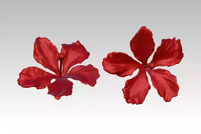 3D printing of large red flower sculpture hibiscus  buddha 3D print model