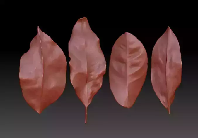 realistic ZB leaf brushes 3D printing leaf STL ZB Leaf Brush 3D print model
