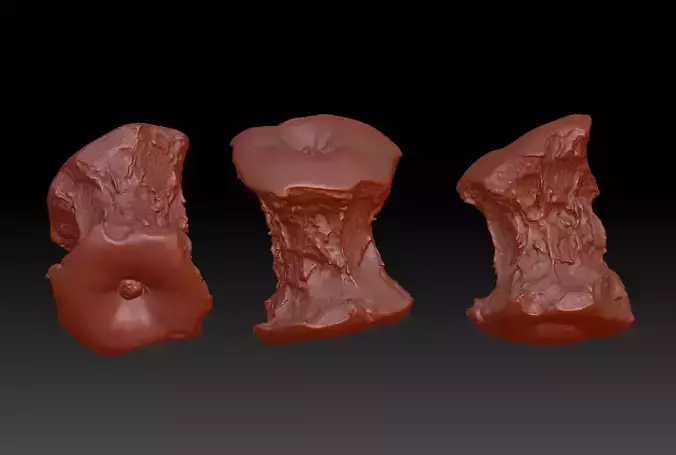 3D printing of apple core can be used for commercial use  3D print model
