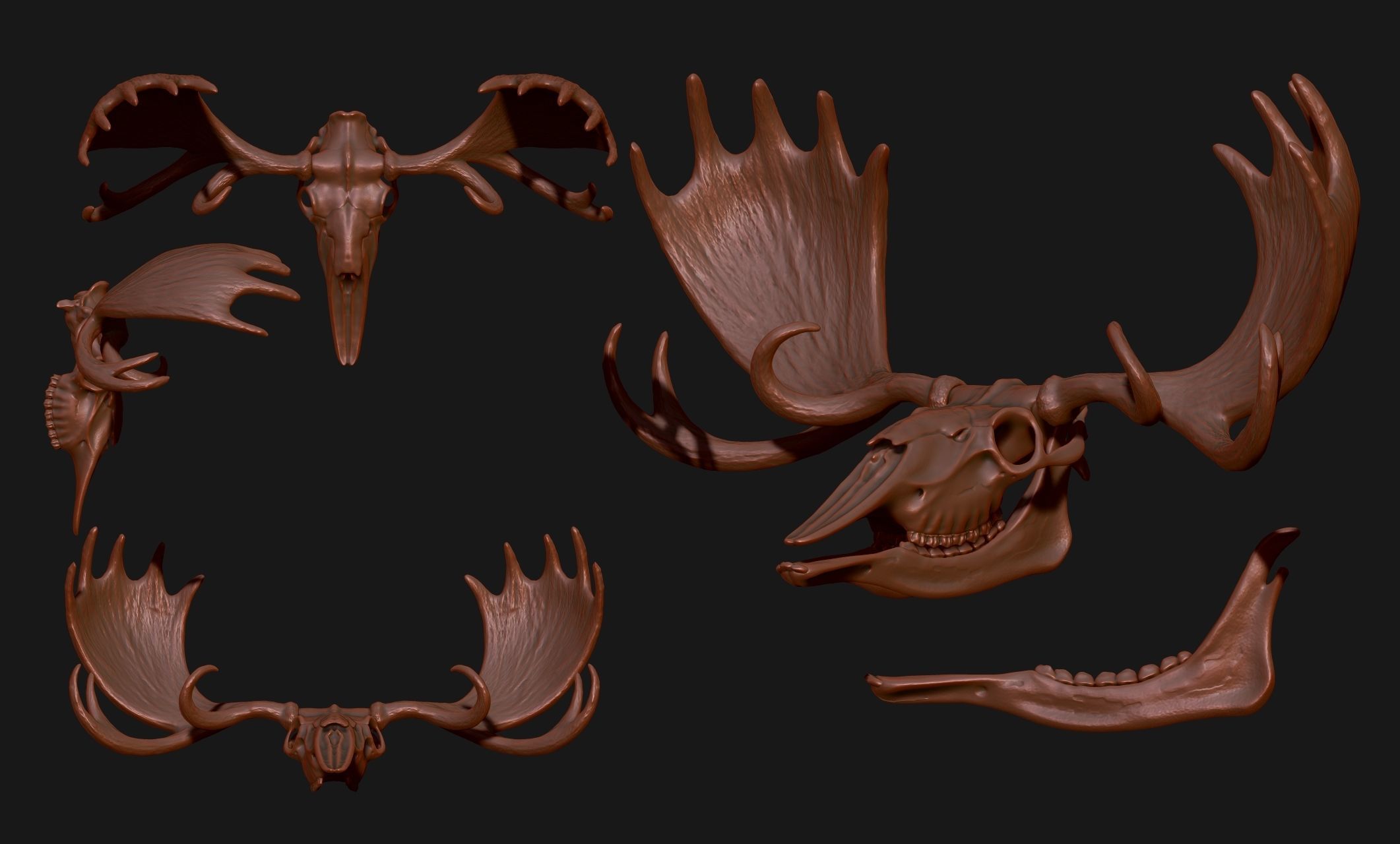 American Alce skull 3D print model_9