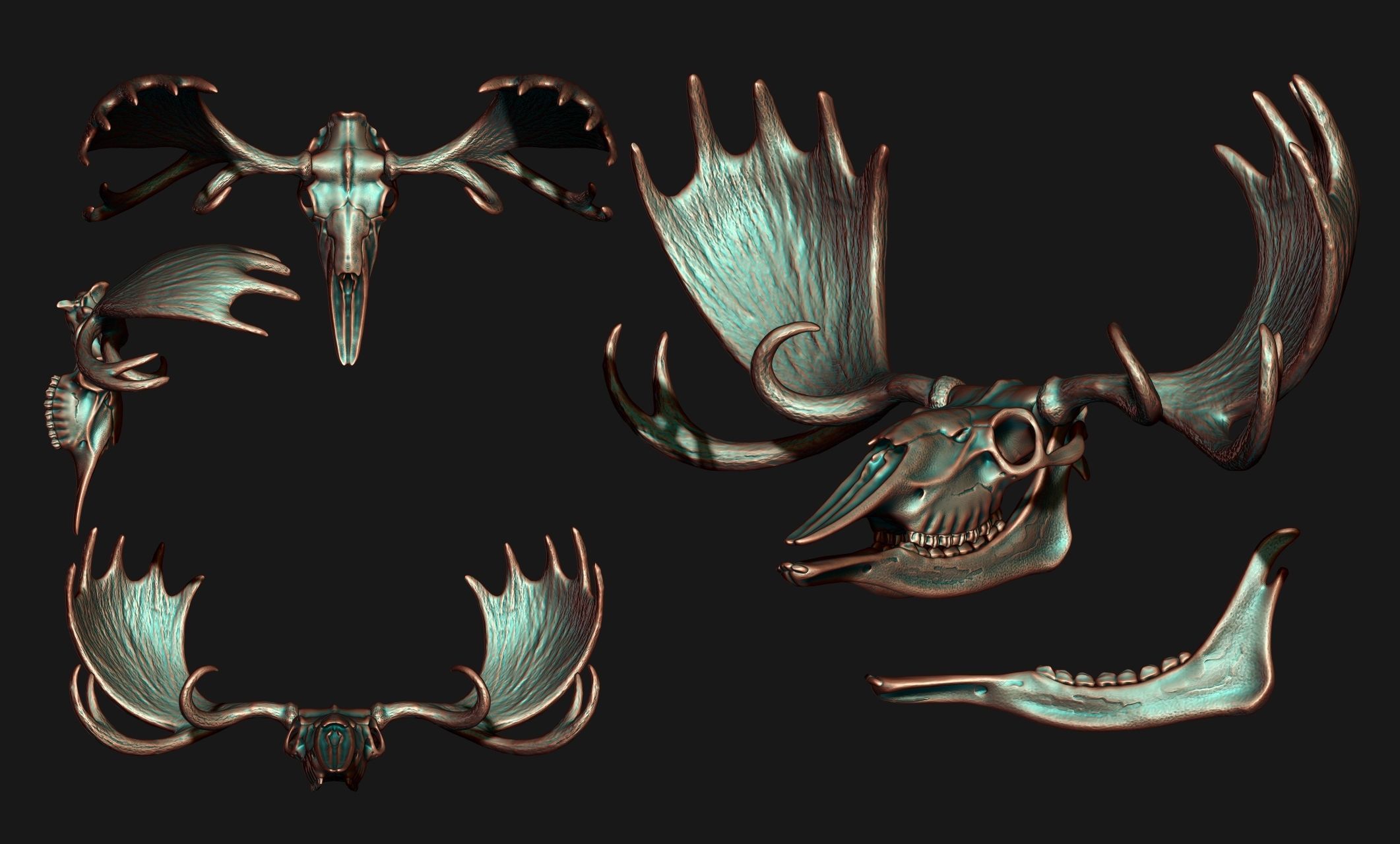 American Alce skull 3D print model_11