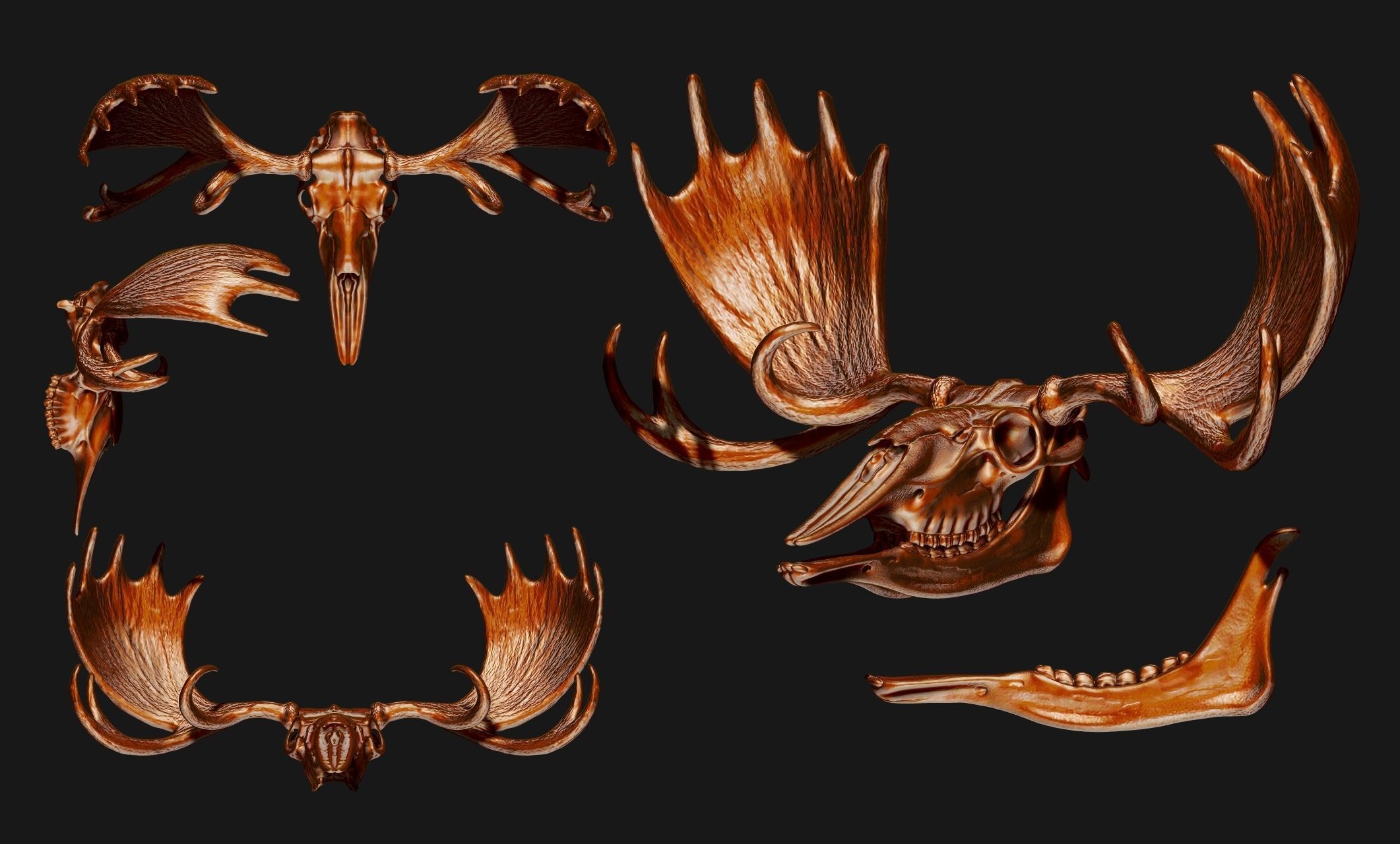 American Alce skull 3D print model_22