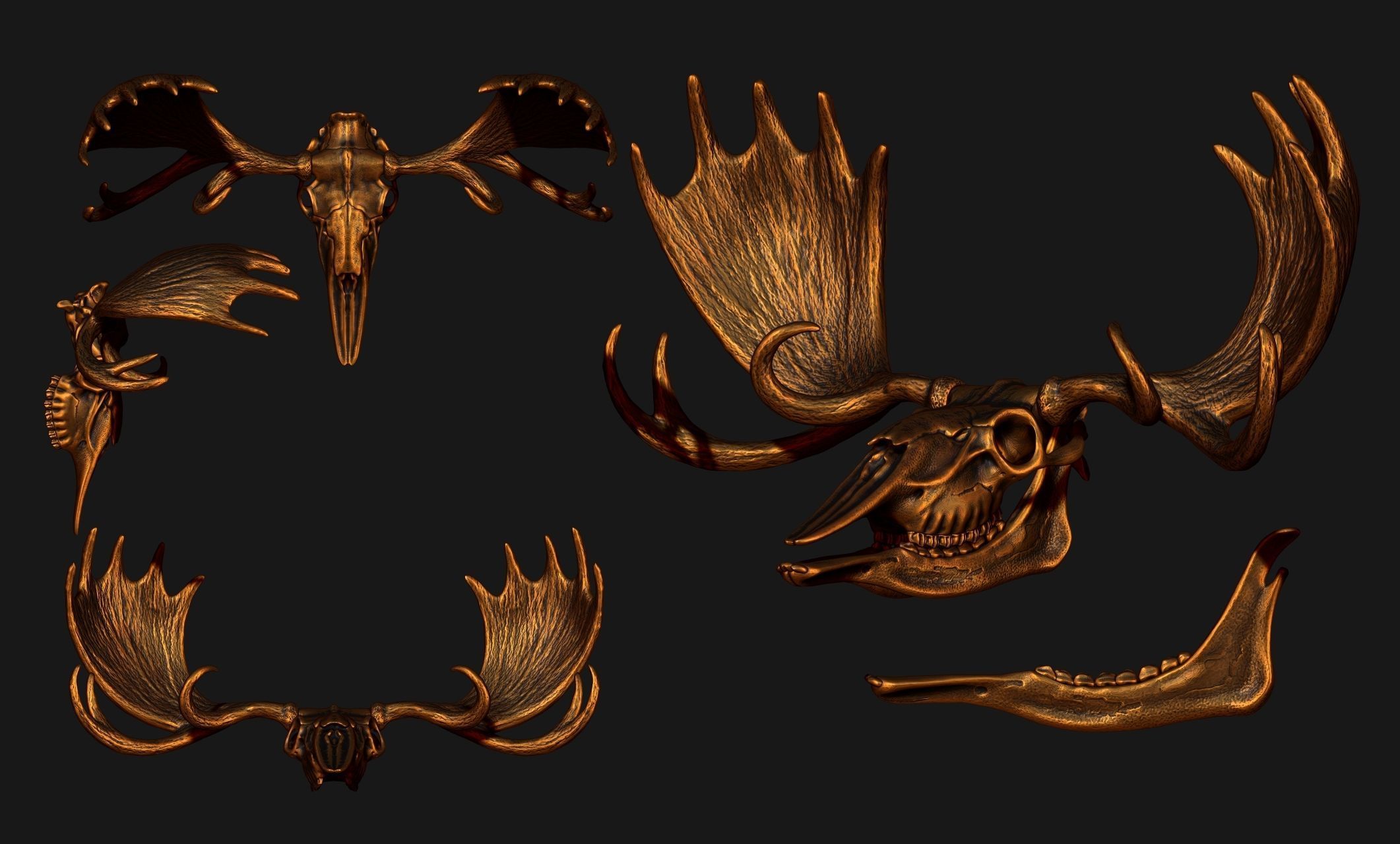 American Alce skull 3D print model_8