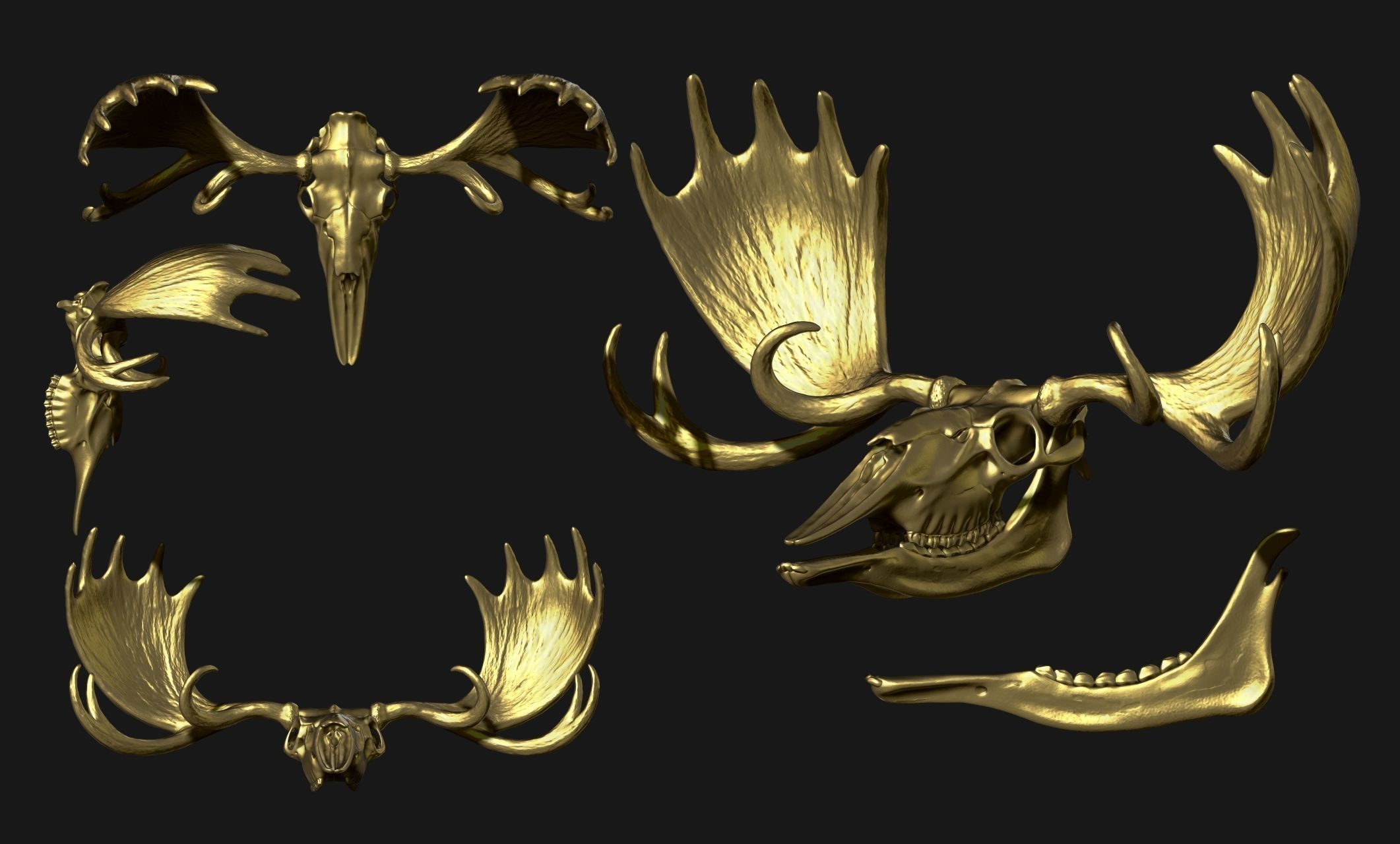 American Alce skull 3D print model_19