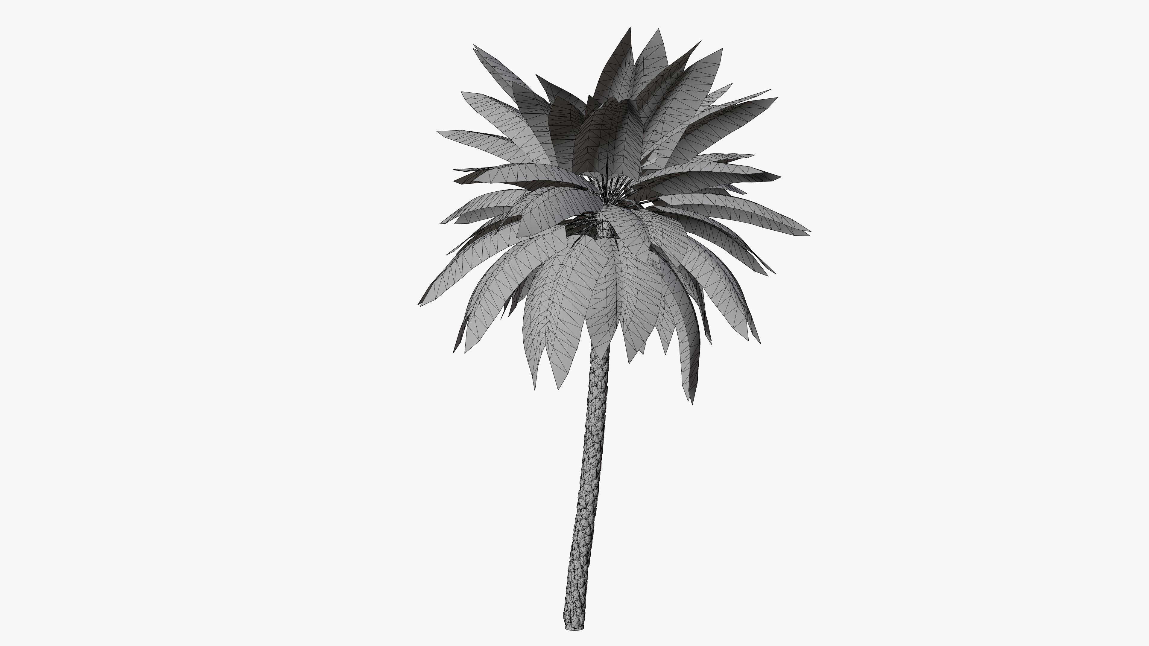 Date Palm v2 Low-poly 3D model_1