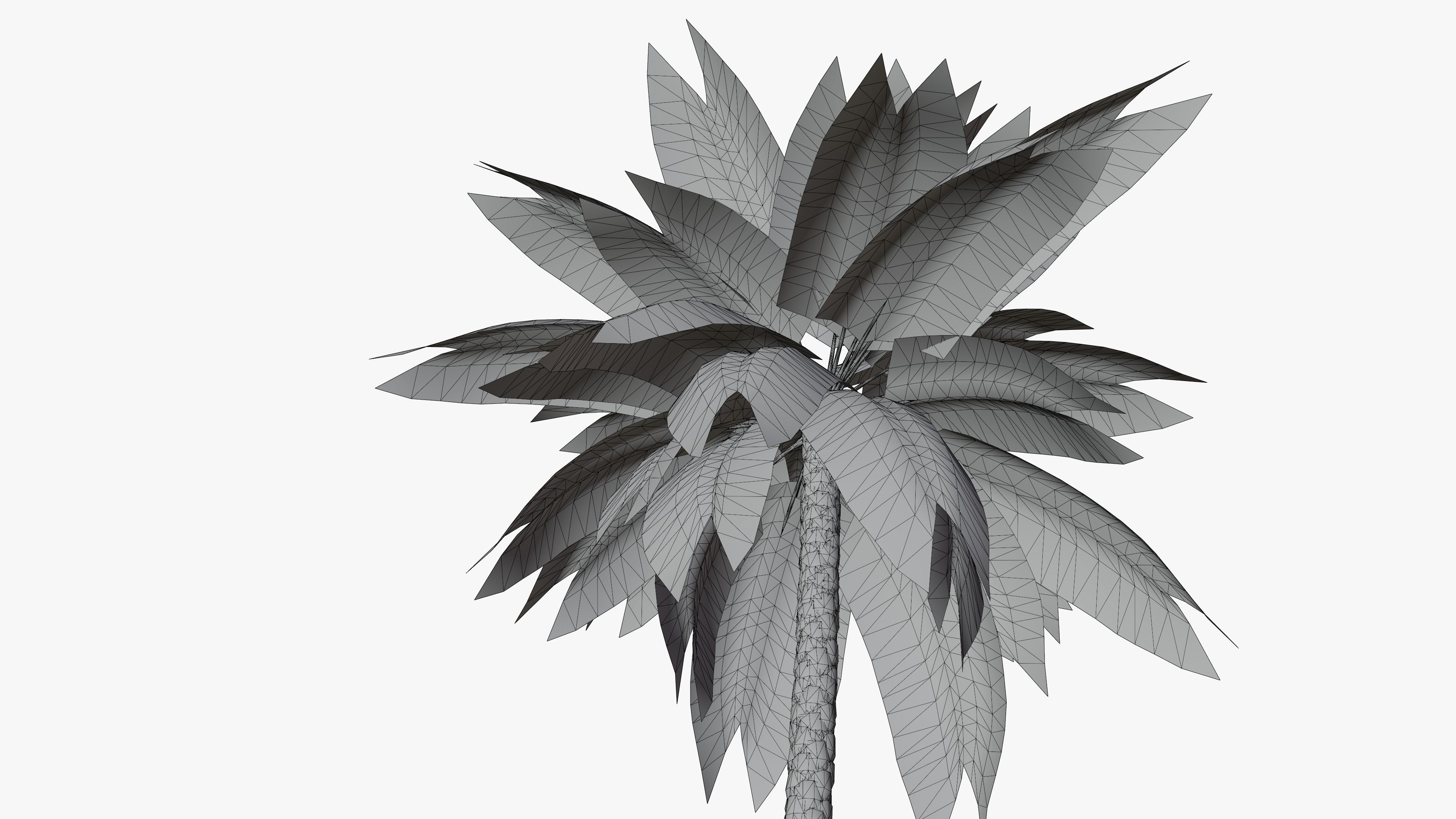 Date Palm v2 Low-poly 3D model_9