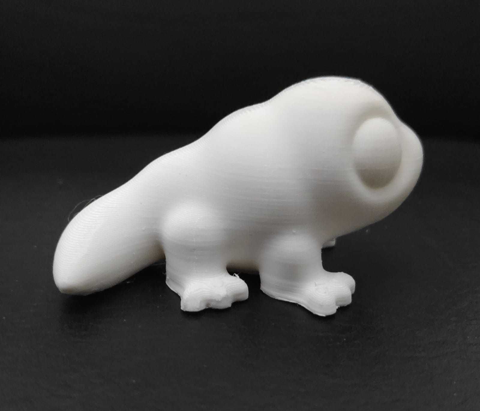 Komodo Dragon 3D print model_5
