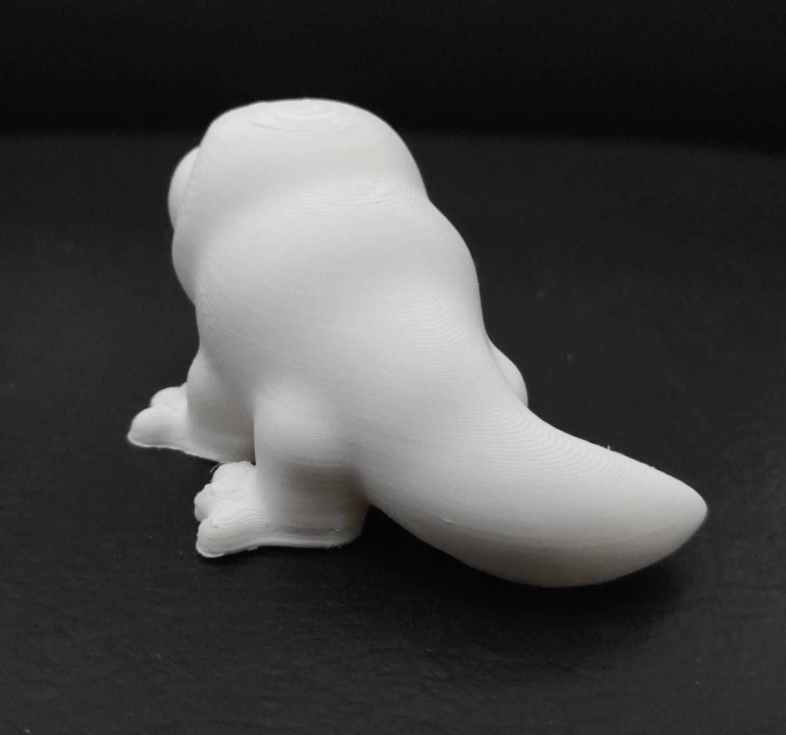 Komodo Dragon 3D print model_12