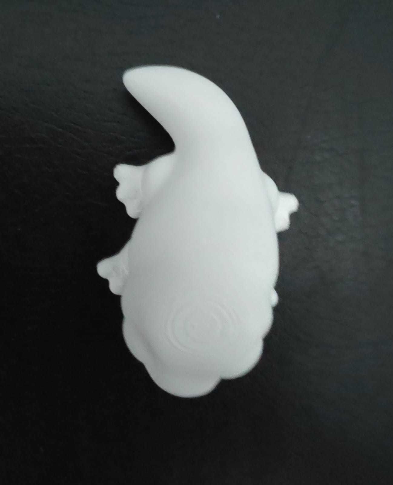 Komodo Dragon 3D print model_13