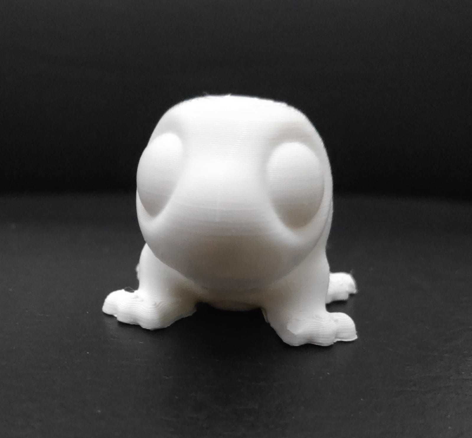 Komodo Dragon 3D print model_11