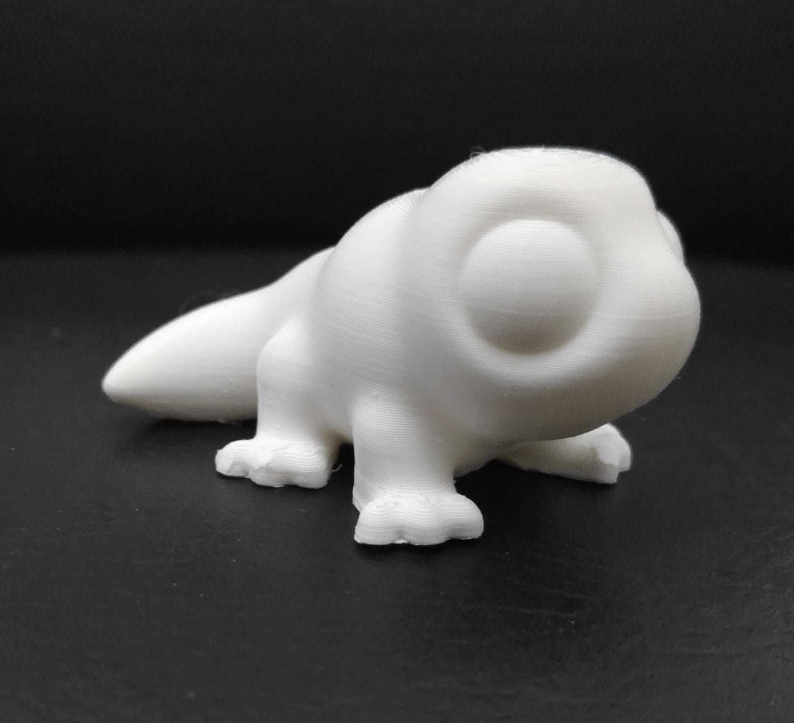 Komodo Dragon 3D print model_4