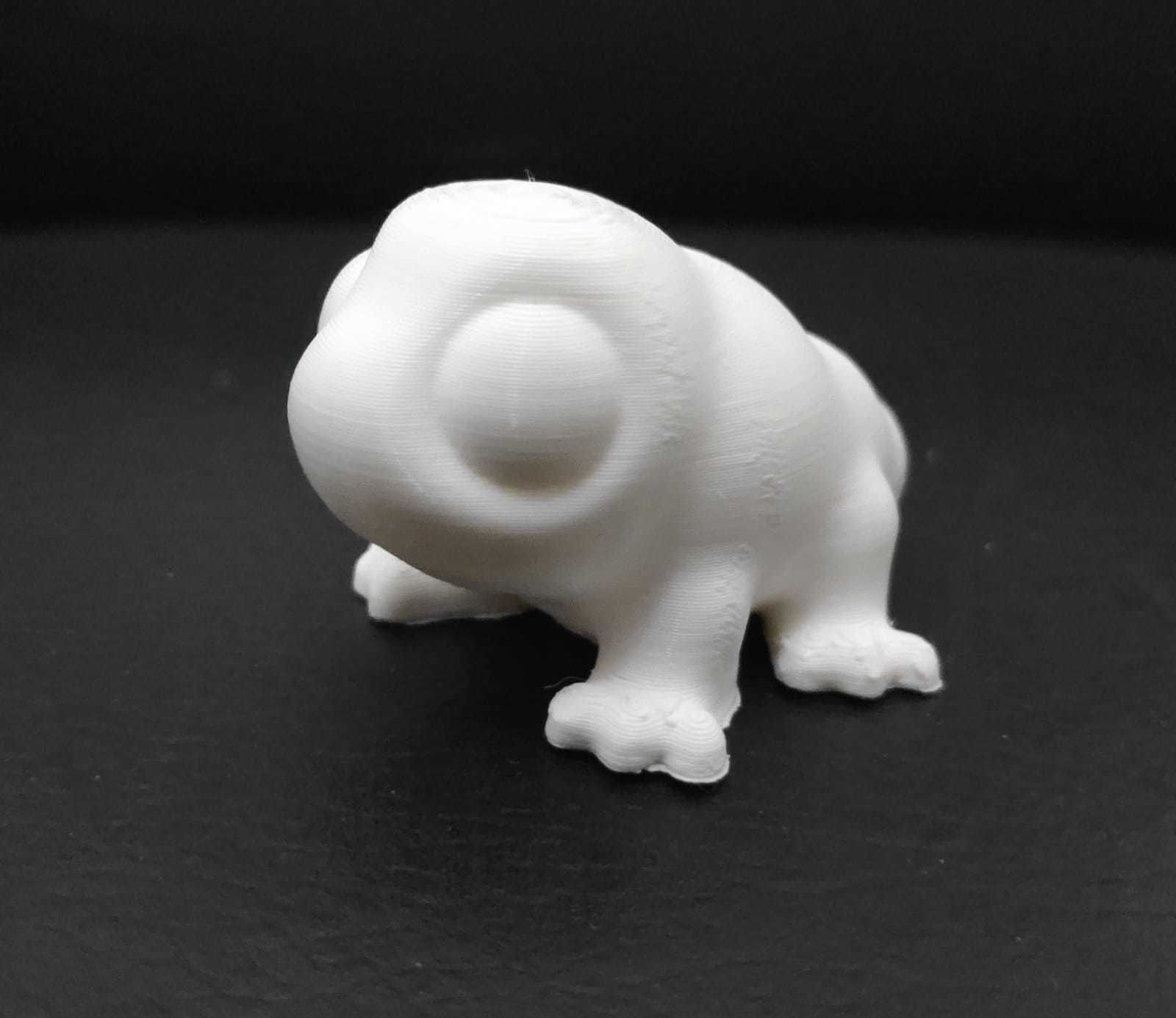 Komodo Dragon 3D print model_10
