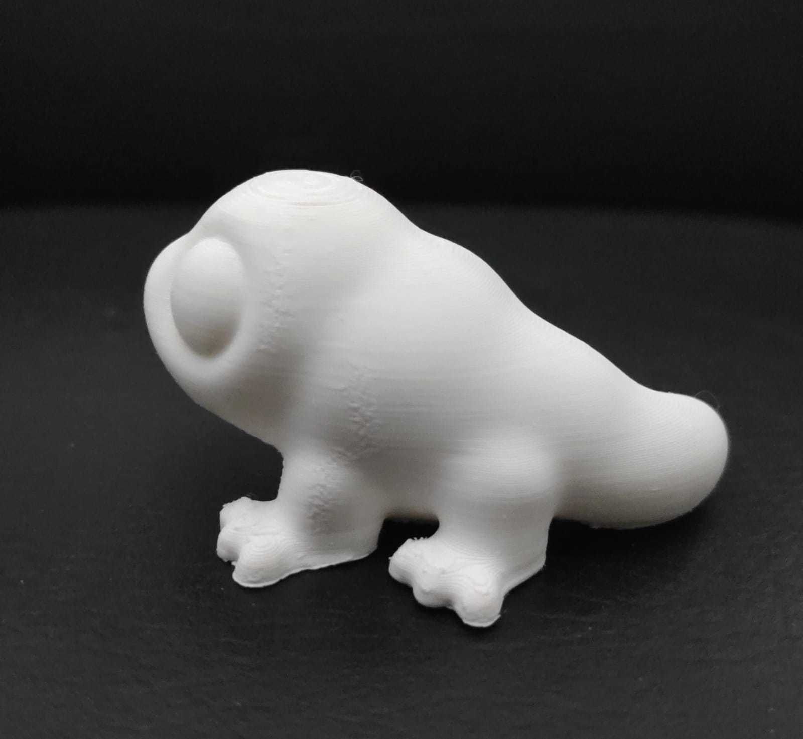 Komodo Dragon 3D print model_9