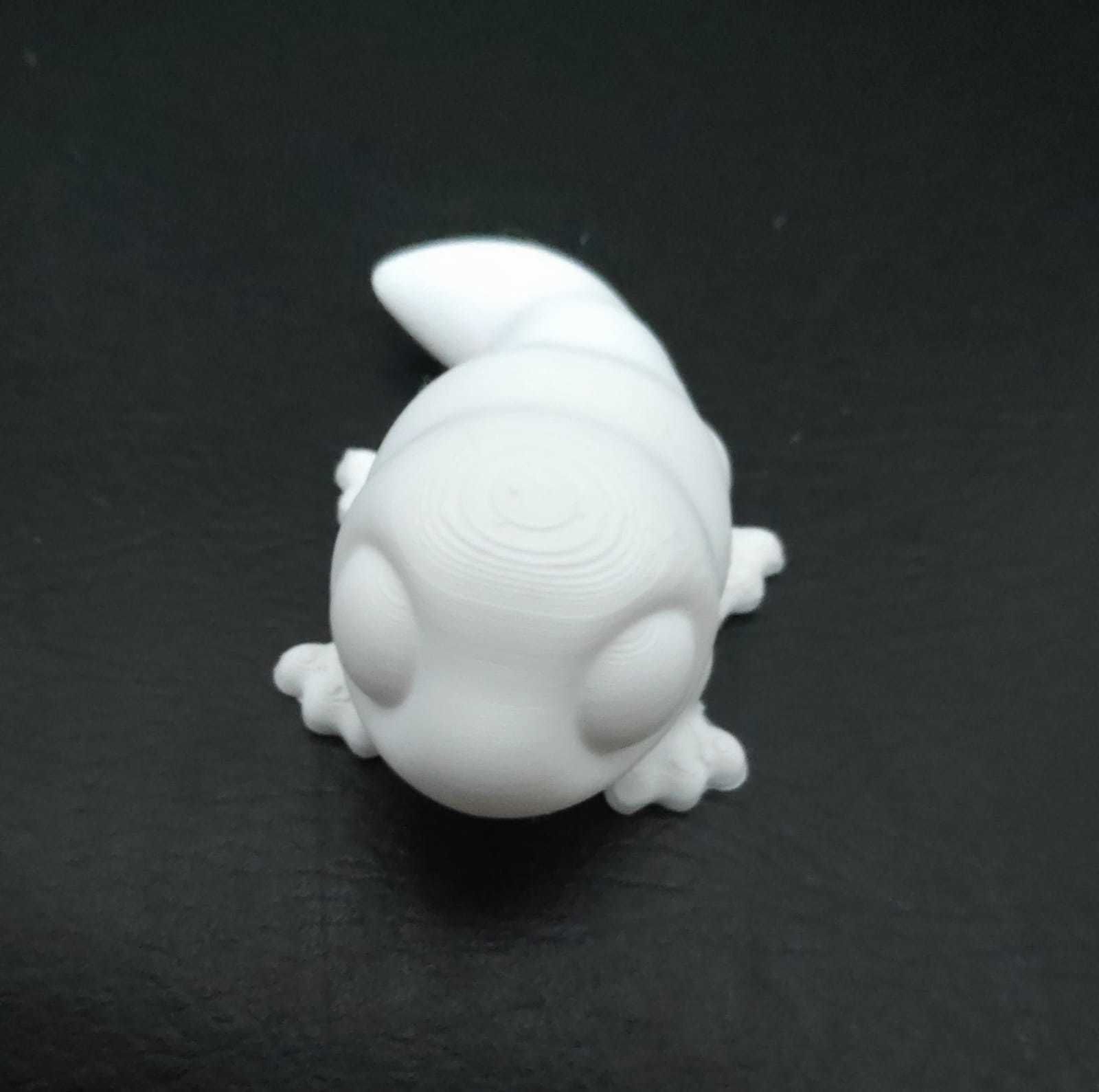 Komodo Dragon 3D print model_6