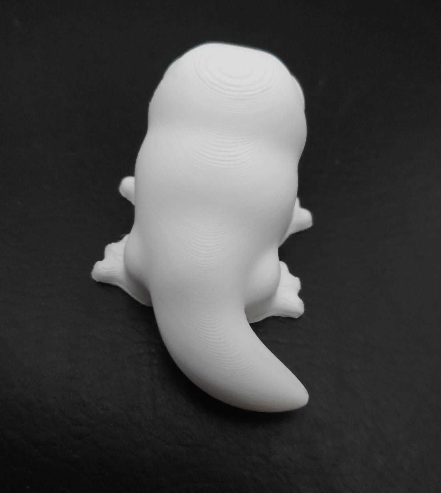 Komodo Dragon 3D print model_8