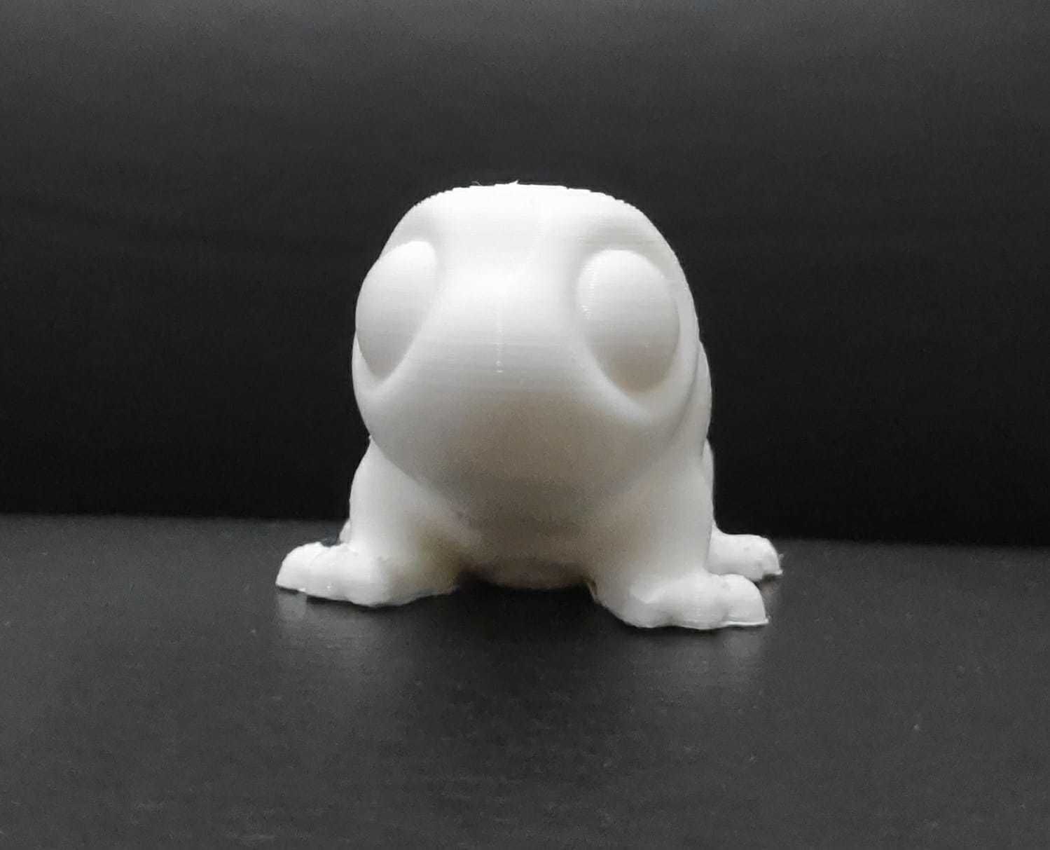 Komodo Dragon 3D print model_7